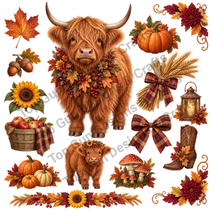 Highland Cow 1-5