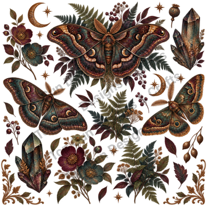 Nocturne Moth Clip Art