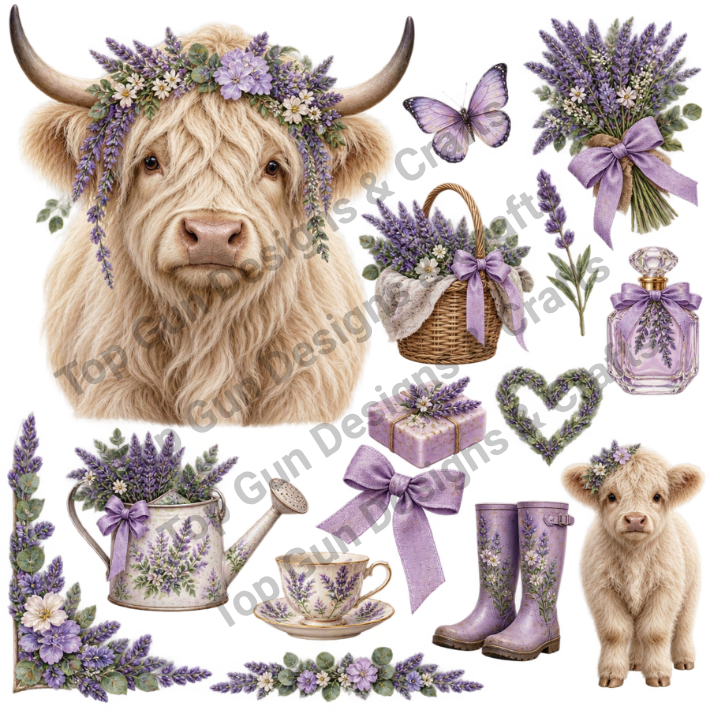 Highland Cows 6-10