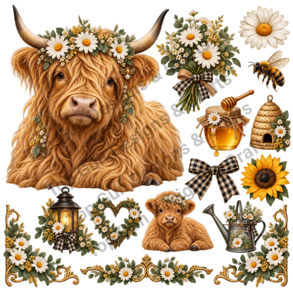Highland Cows 6-10