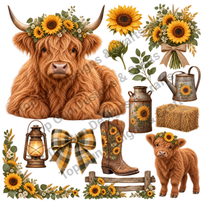 Highland Cows 6-10